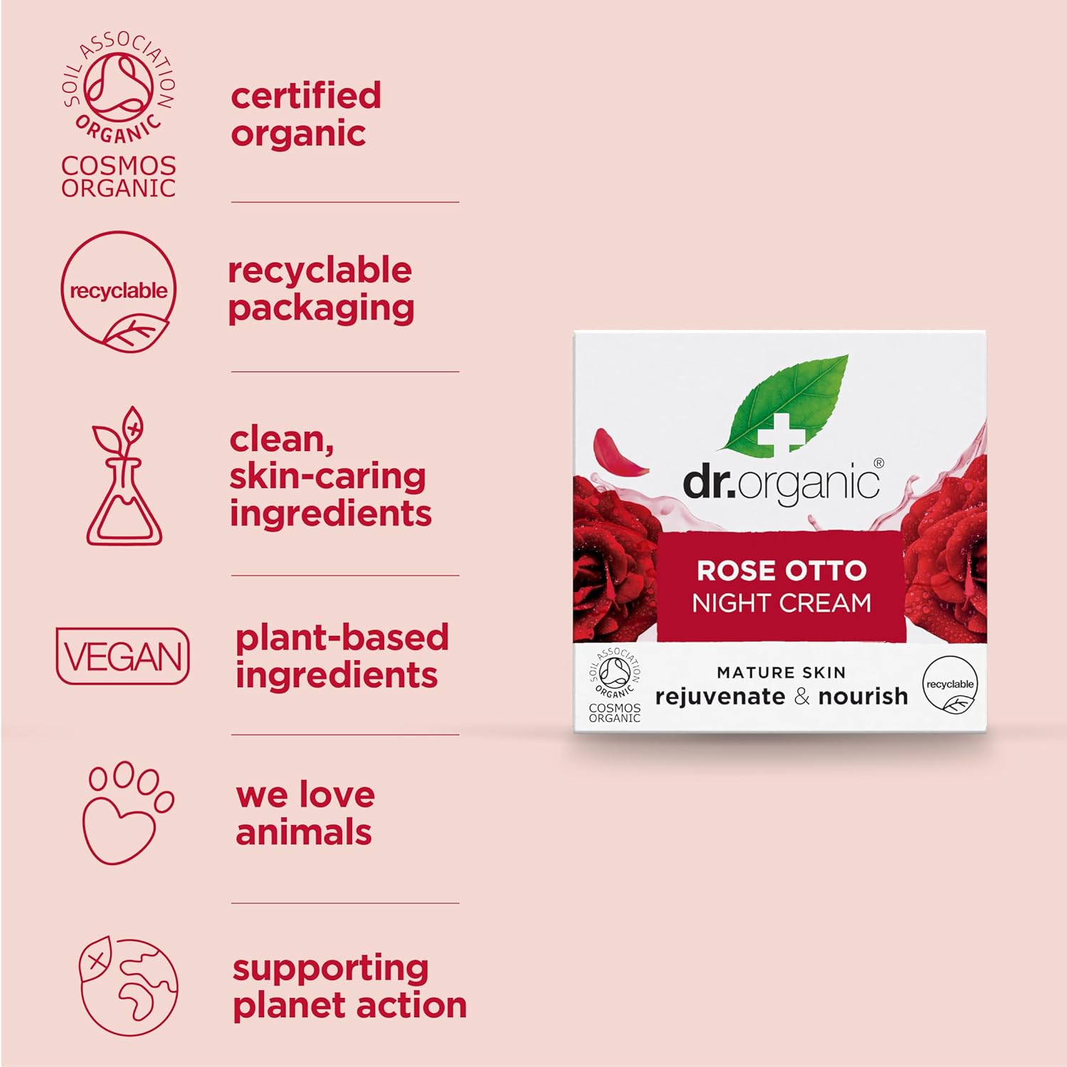 Dr Organic Bioactive Skincare Organic Rose Otto Night Cream 50ml