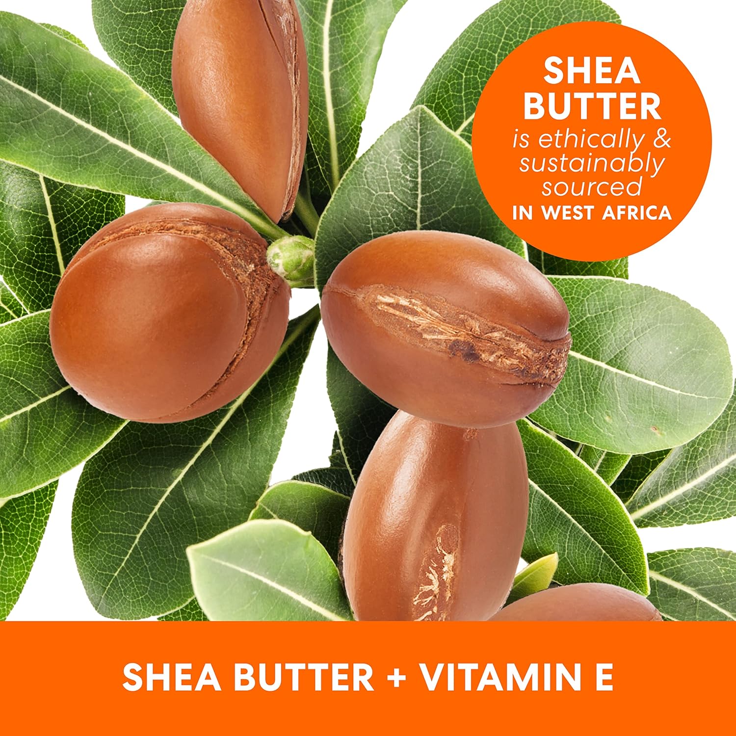 Palmers Raw Shea Nourish Body Oil 250ml