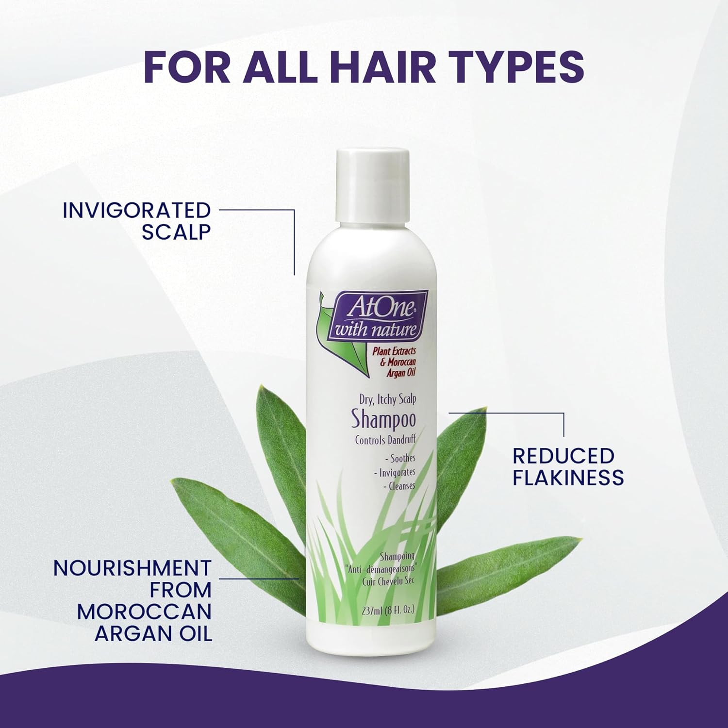 BioCare Atone Dry Itchy Scalp Shampoo 237ml - 473ml