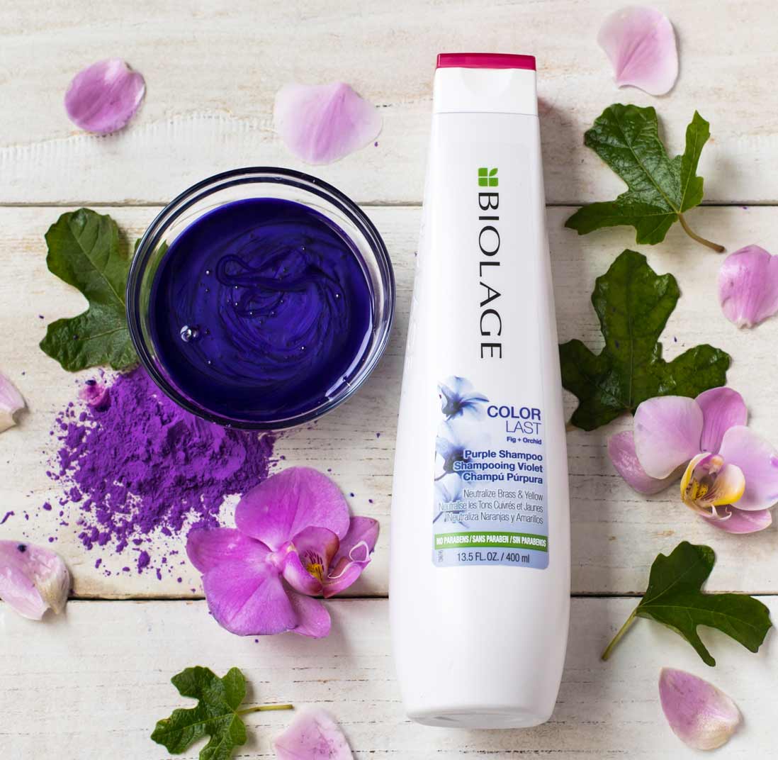 Matrix Biolage Color Last Purple Shampoo 250ml / 400ml