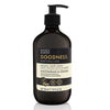 Baylis And Harding Goodness Lemongrass And Ginger Natural Hand Wash 500ml