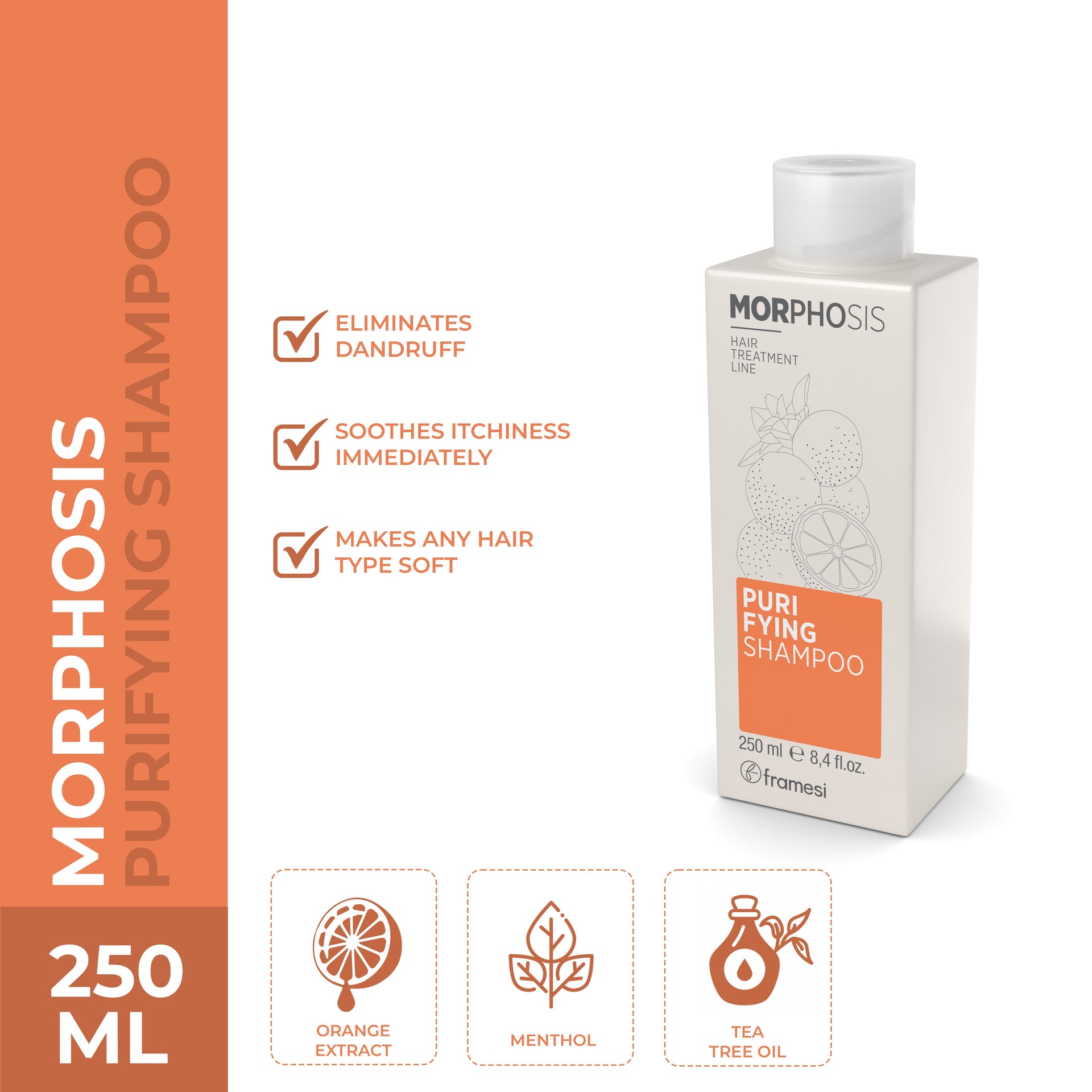 Framesi Morphosis Purifying Shampoo 250ml