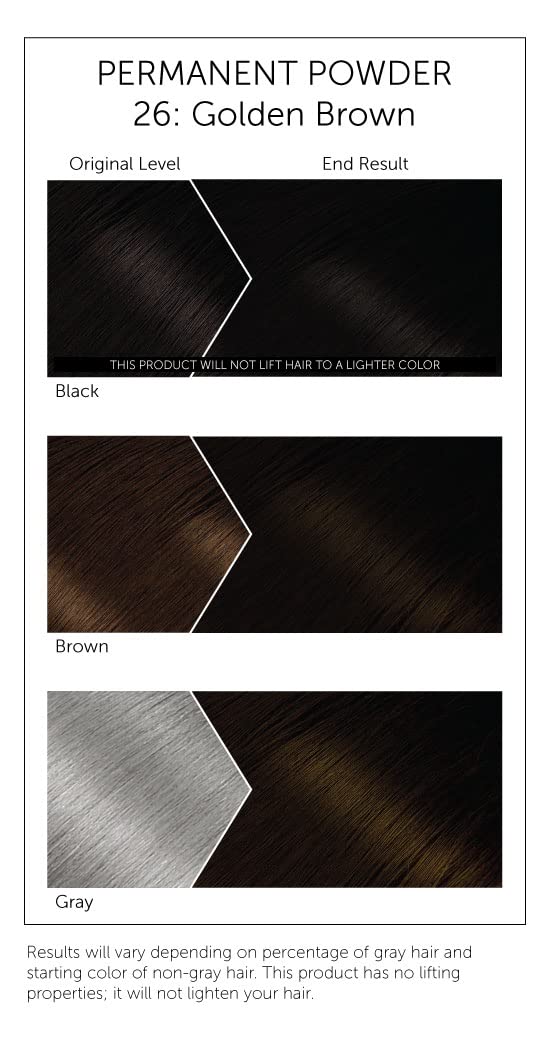 Bigen Hair Dye Permanent Powder Hair Colour 6g All Colours - Afro Hair Boutique