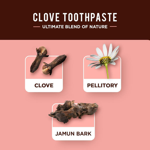 Dabur Cavity Protection Clove Toothpaste 100ml
