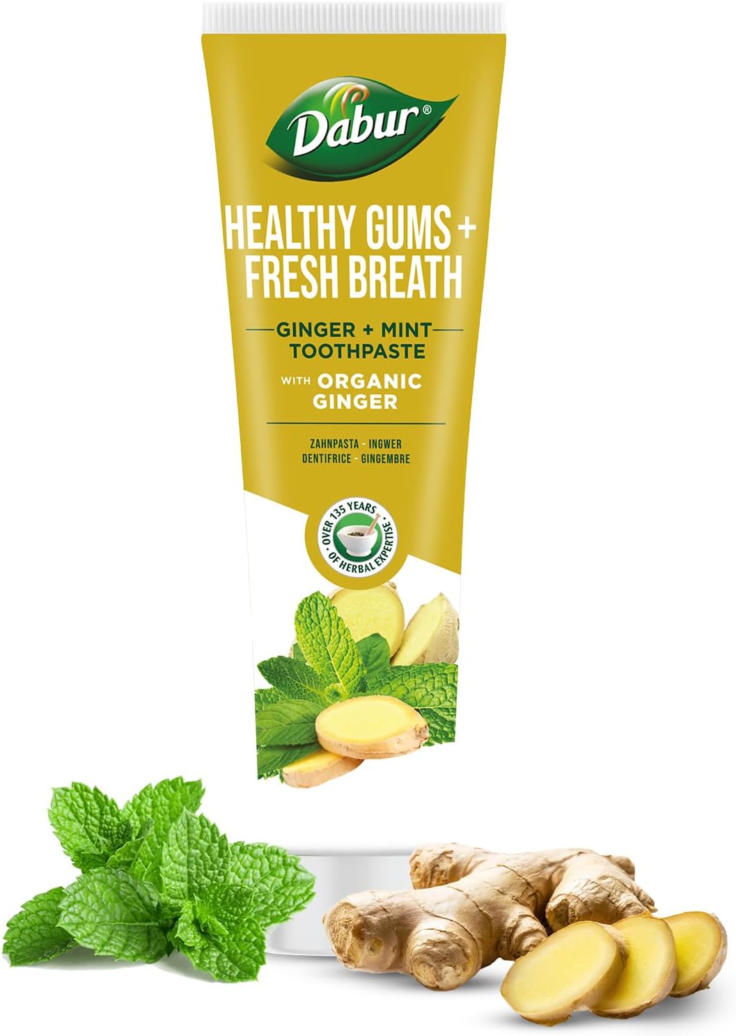 Dabur Healthy Gums Fresh Breath Ginger And Mint Toothpaste 100ml