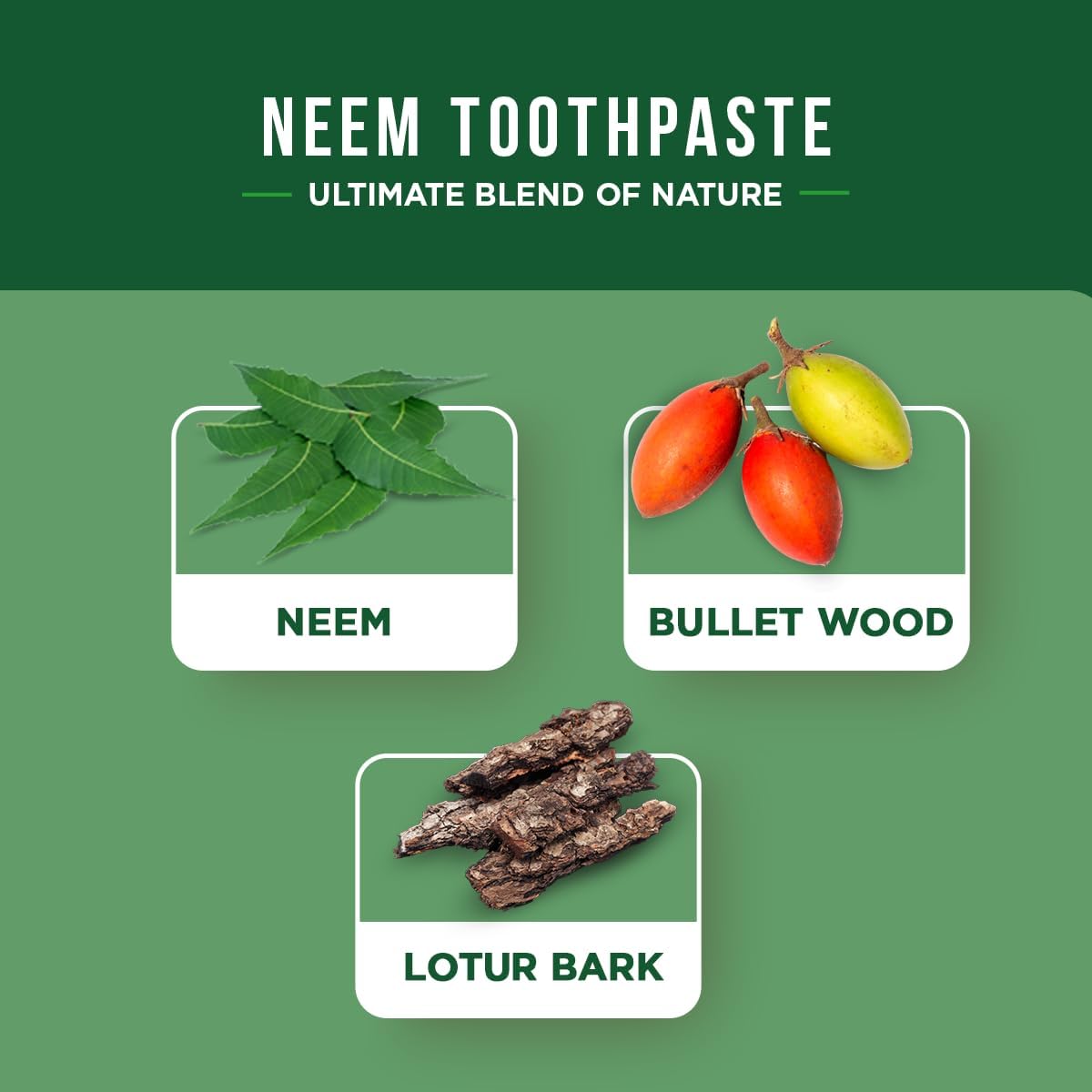Dabur Antibacterial Organic Neem Toothpaste 100ml