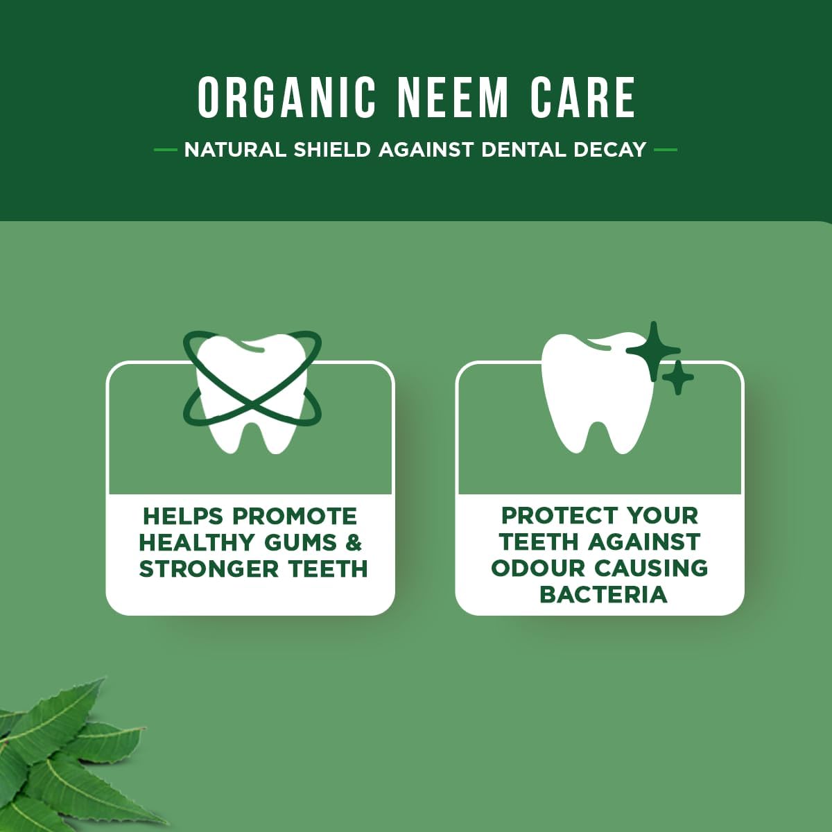 Dabur Antibacterial Organic Neem Toothpaste 100ml