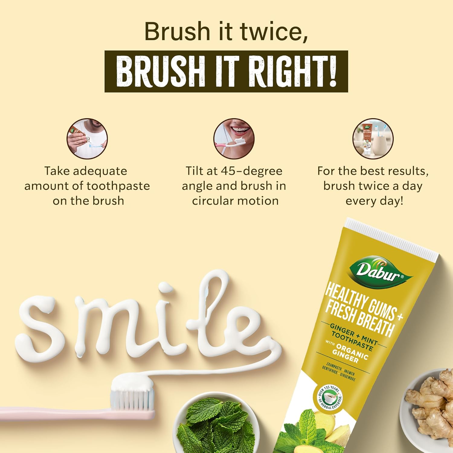 Dabur Healthy Gums Fresh Breath Ginger And Mint Toothpaste 100ml
