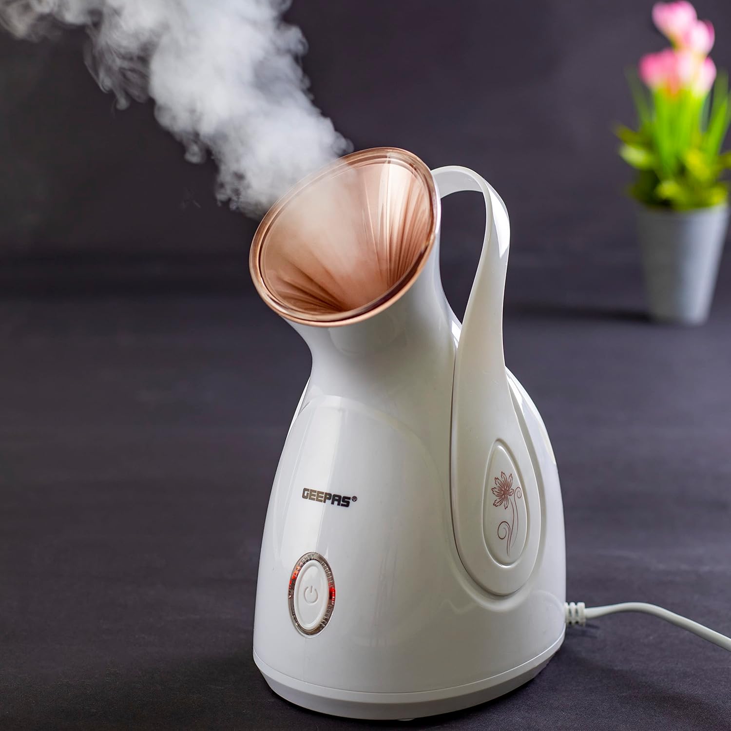 Eden Geepas Professional Face Steamer GFS63041UK