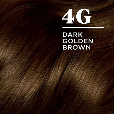 Clairol Nice N Easy Permanent Colours 4G Dark Golden Brown