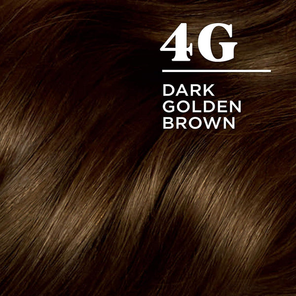 Clairol Nice N Easy Permanent Colours 4G Dark Golden Brown
