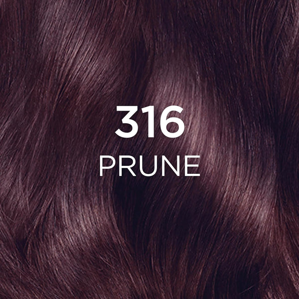 Loreal Paris Casting Creme Gloss Conditioning Color 316 Prune