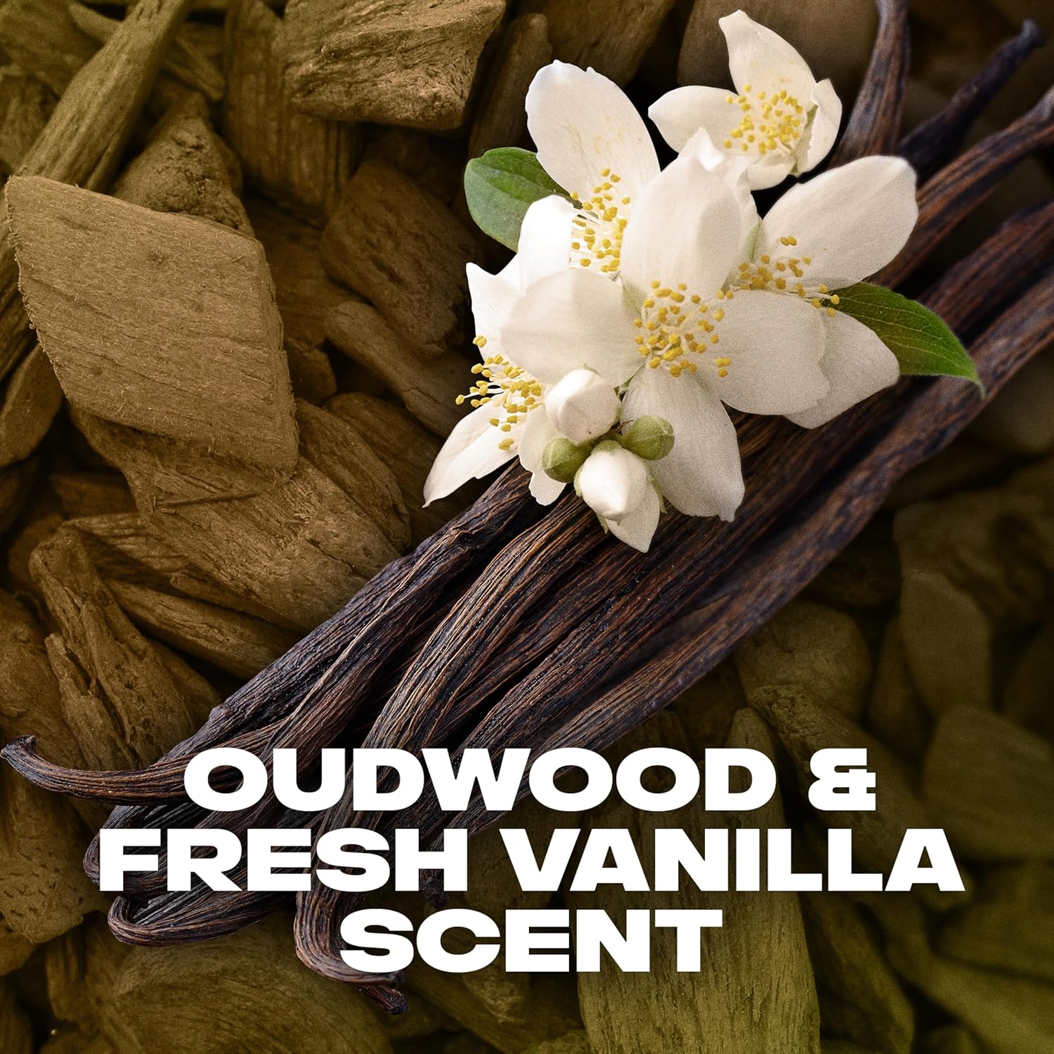 Lynx Gold Oud Wood And Fresh Vanilla Scent Body Spray 200ml