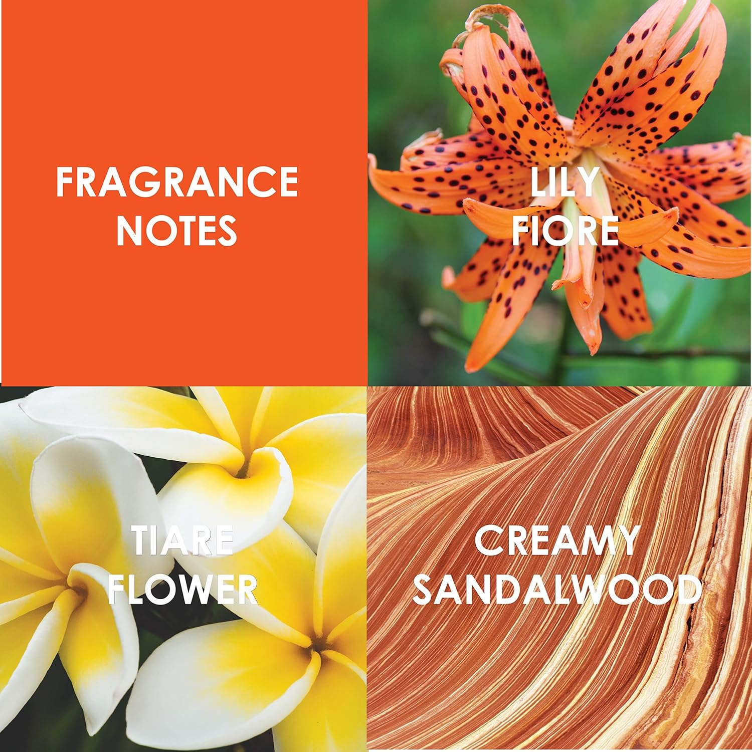 Britney Spears Blissful Fantasy Eau De Toilette 100ml