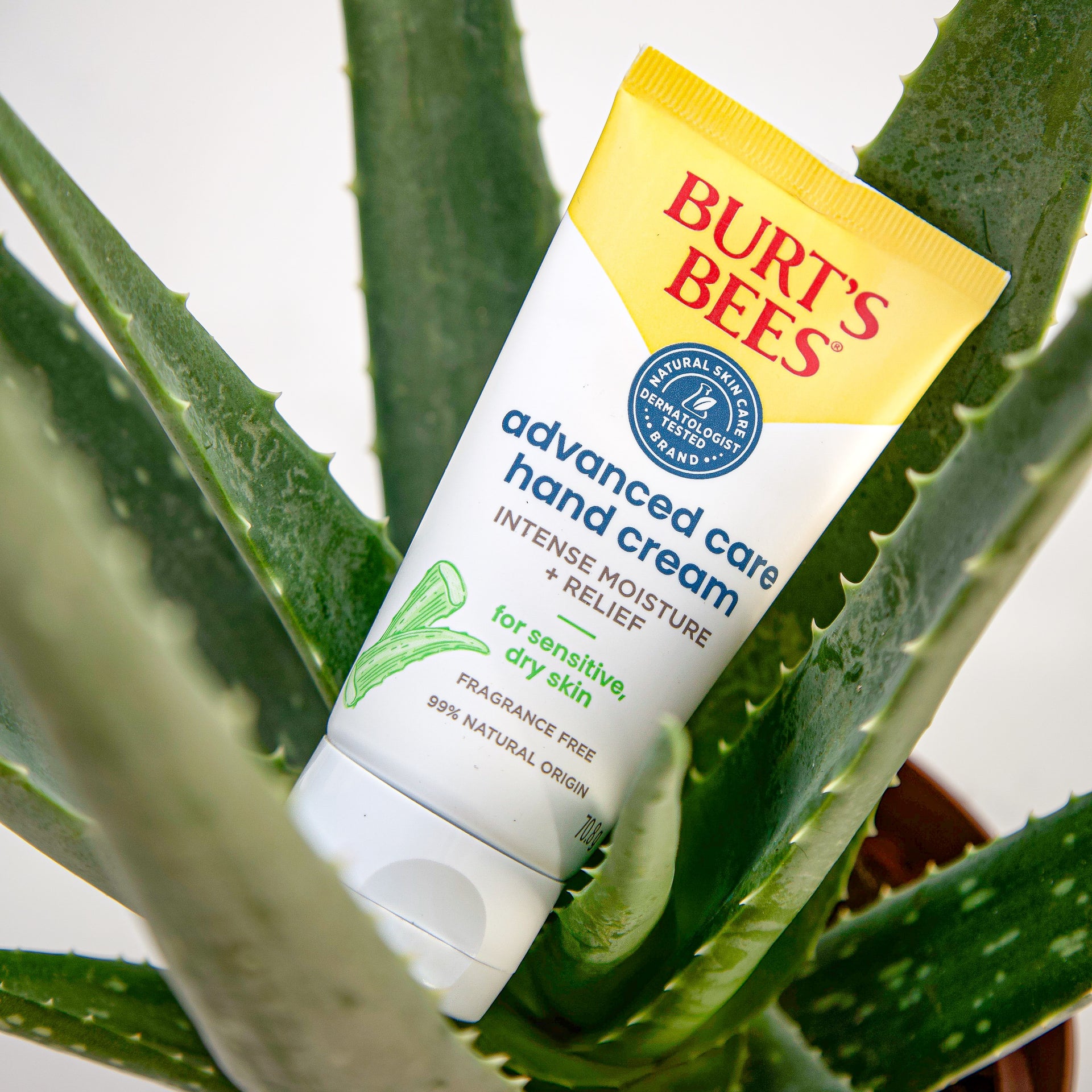 Burts Bees Advanced Care Hand Cream For Sensitive Dry Skin 70g