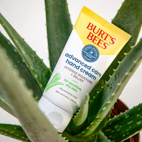 Burts Bees Advanced Care Hand Cream For Sensitive Dry Skin 70g