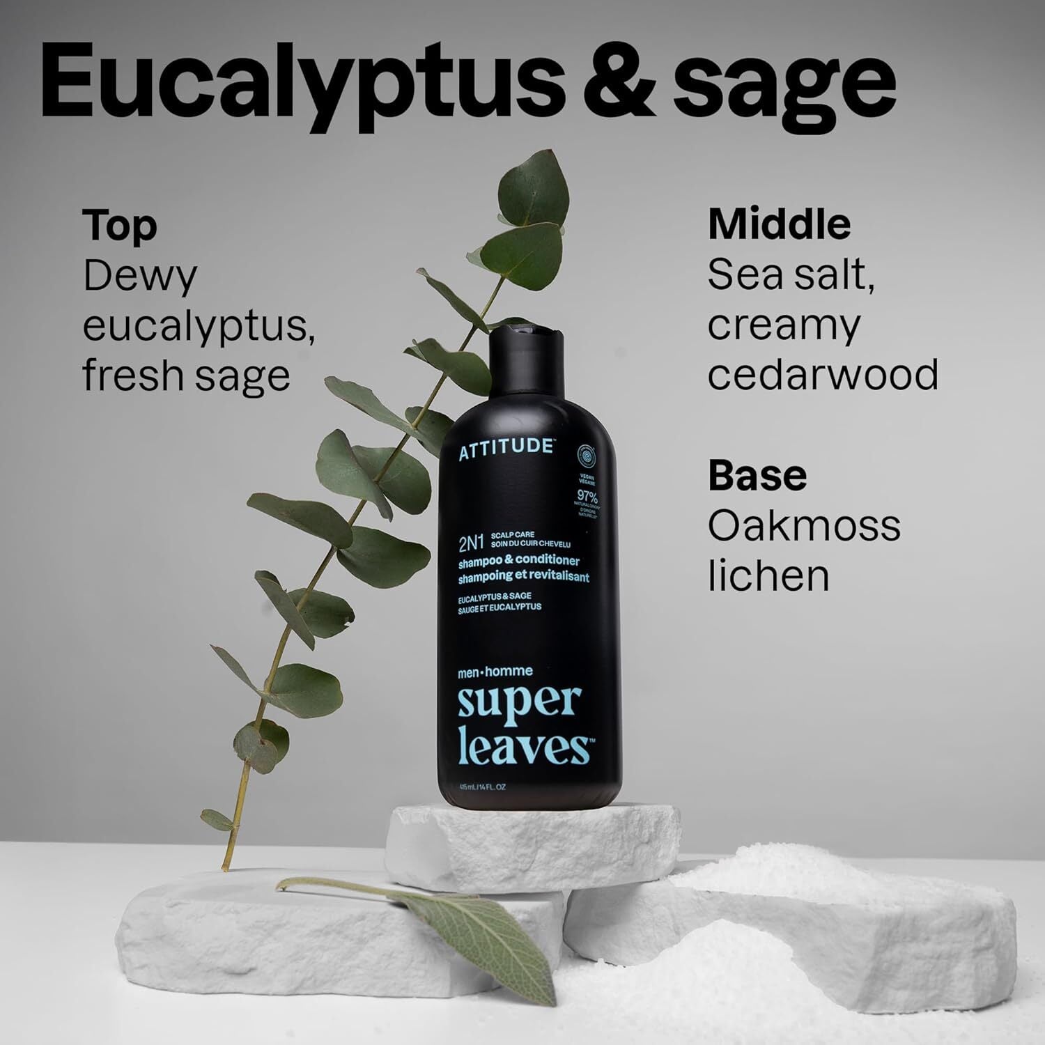 Attitude  Super Leaves 2 N 1 Scalp Care Shampoo And Conditioner