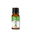 Ayumi Naturals Ayumi Pure Fennel Seed Essential Oil 15ml