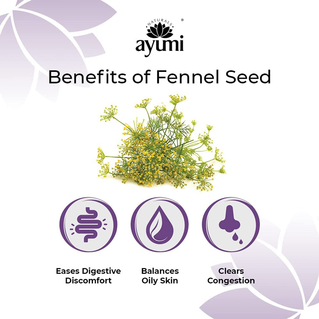 Ayumi Naturals Ayumi Pure Fennel Seed Essential Oil 15ml