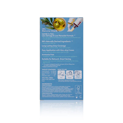 Bigen Color Gentle Cream Colour 2BL Natural Black