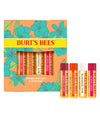Burts Bees Beeswax Bounty Lip Balm Set 4.25g