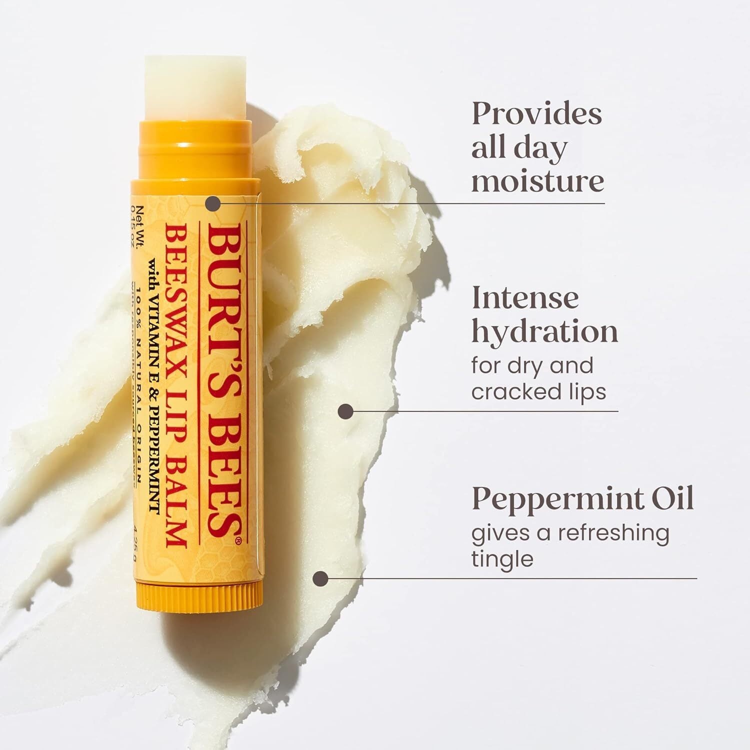 Burts Bees  Bit Of Burts Lip Balm Set