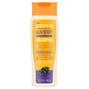 Cantu Acai Berry And Shea Butter Revitalizing Shampoo 400ml