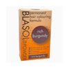 Eternal Beauty Blasol Powder Permanent Hair Coloring Rich Burgundy