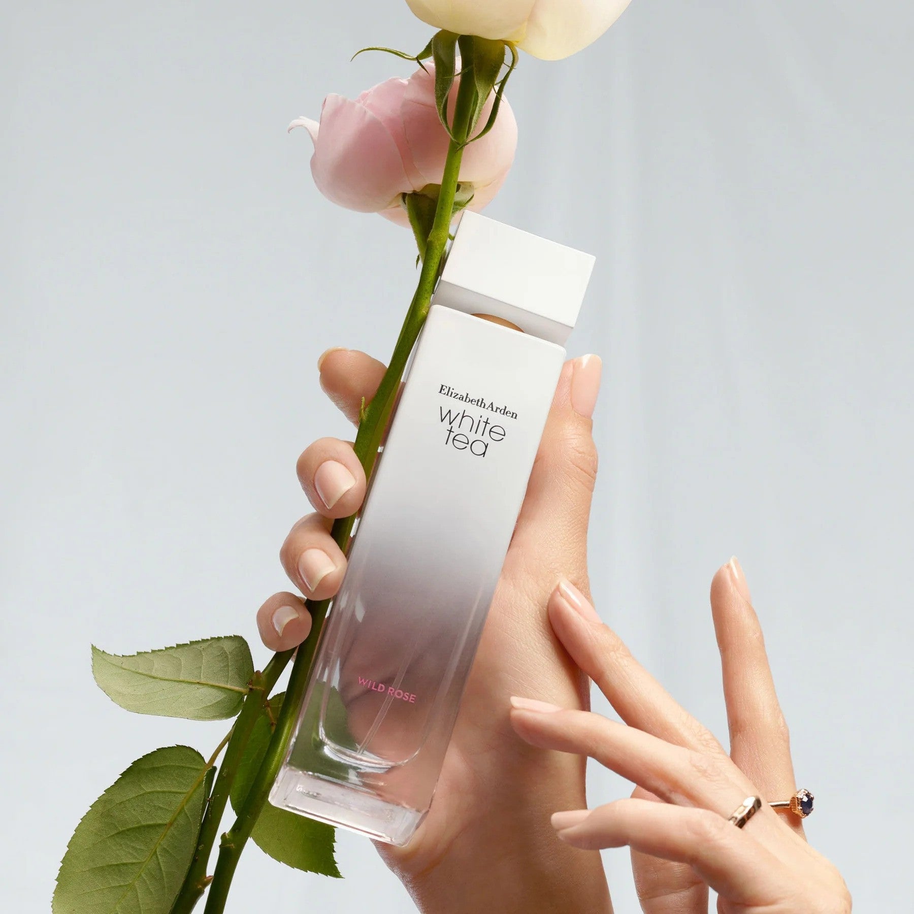 Elizabeth Arden  White Tea Wild Rose Eau De Toilette