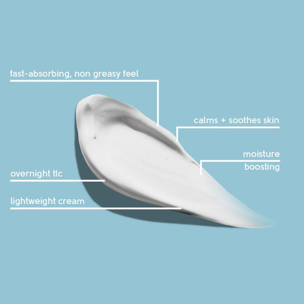 Face Facts  Hydrating Night Cream