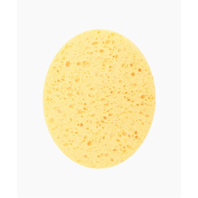 Fine LinesUK Fine Lines Uk Imitation Sea Sponge S201