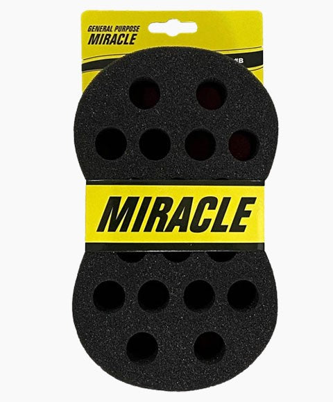 General Purpose Miracle Sponge Brush B