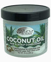 Hair Ecstasy  Coconut Oil Hair And Scalp Conditioner