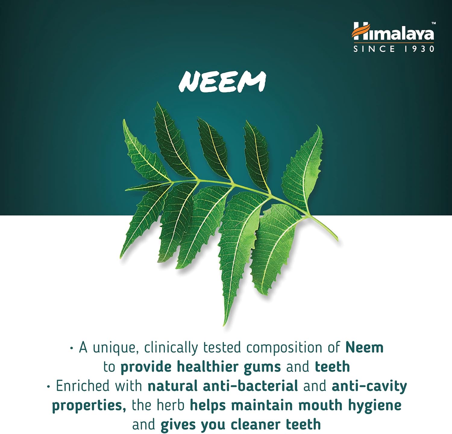 Himalaya  Ayurvedic Dental Cream Toothpaste With Neem