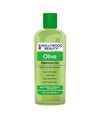 Hollywood Beauty Olive Premium Oil