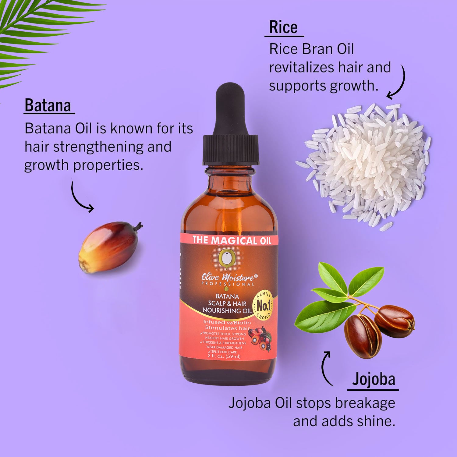 Olive Moisture Professional Batana Scalp And Hair Nourishing Oil 59ml