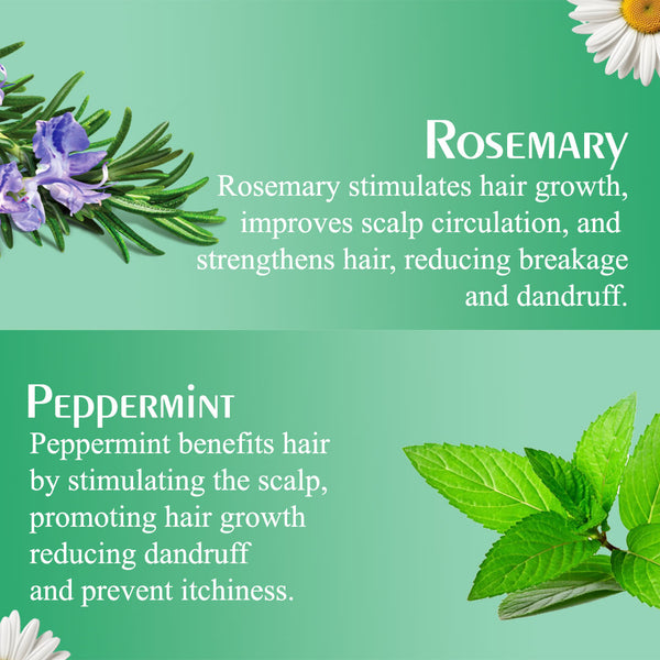 Olive Moisture Professional Rosemary And Mint Style Control Hair Mousse 207ml - Afro Hair Boutique