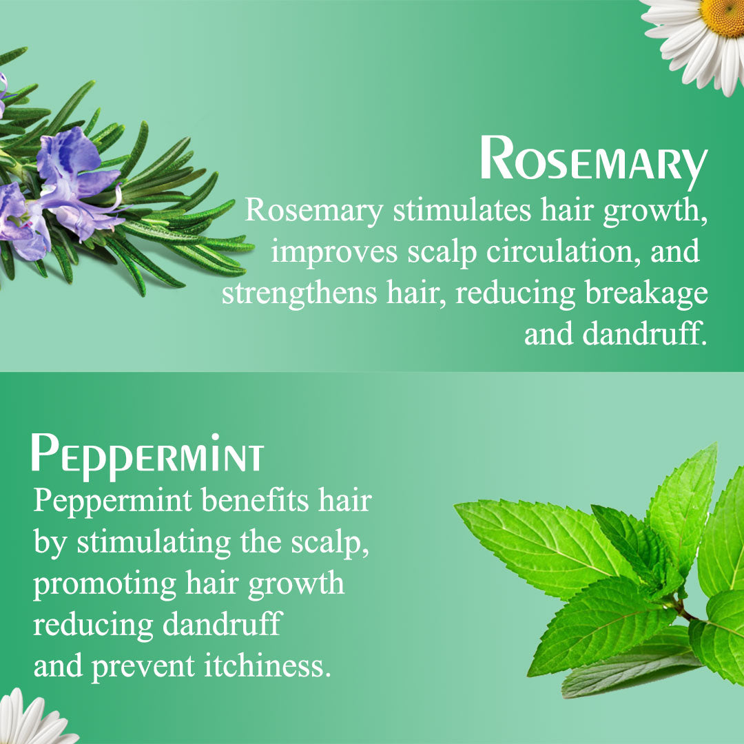 Olive Moisture Professional Rosemary And Mint Nourishing Shampoo 473ml