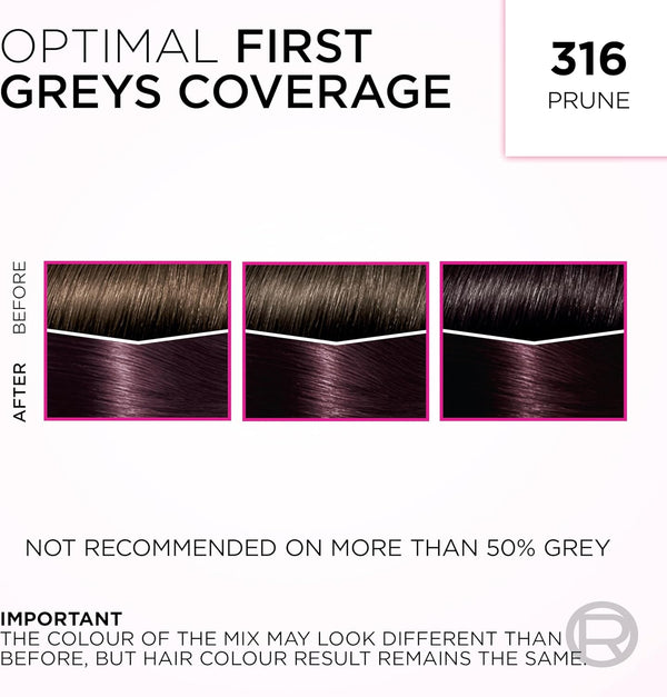 Loreal Paris Casting Creme Gloss Conditioning Color 316 Prune