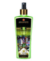 Millionaire Beverly Hills Love In Los Angeles Seductive Agelica Fragrance Body Mist