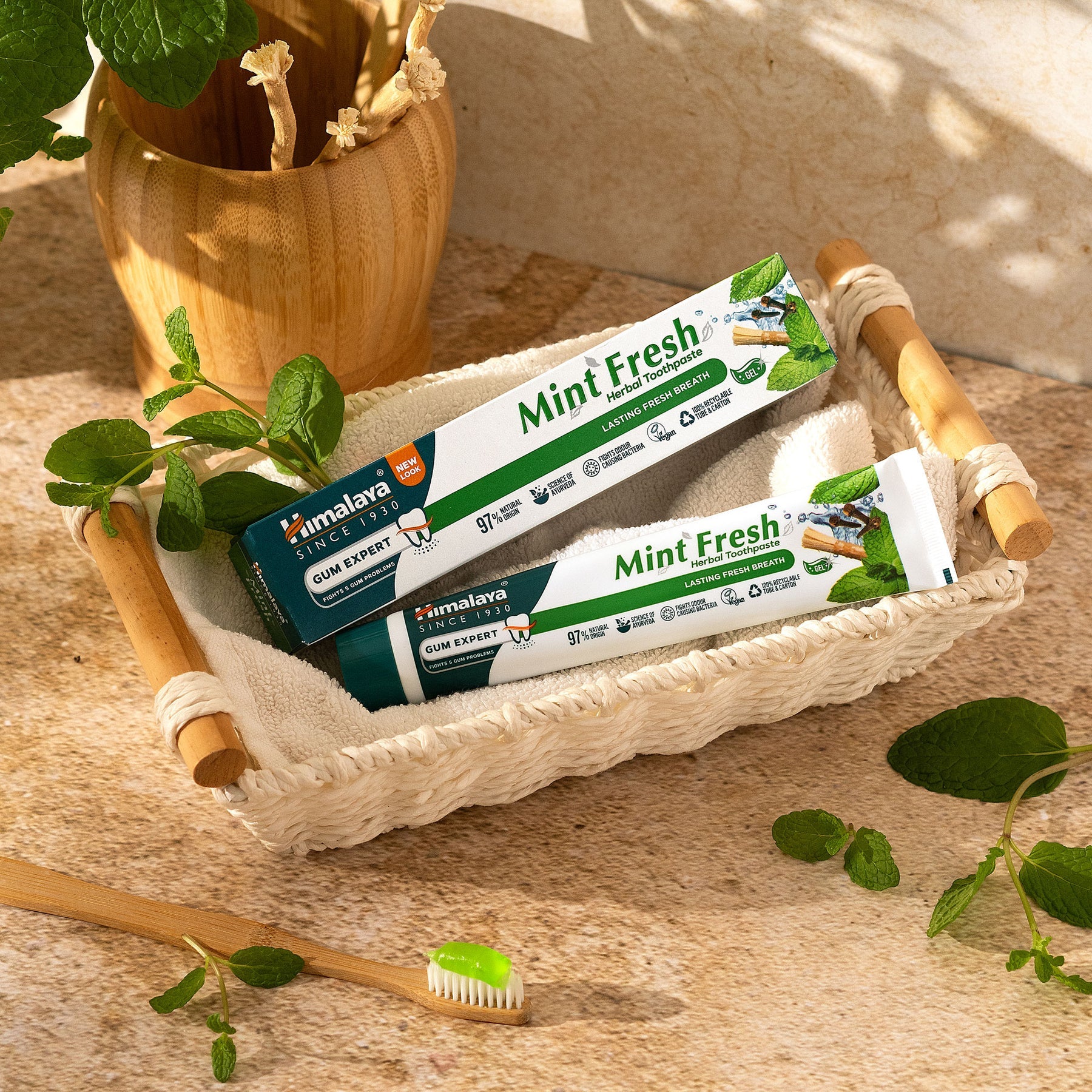 Himalaya Herbal Gum Expert Mint  Fresh Toothpaste 75ml