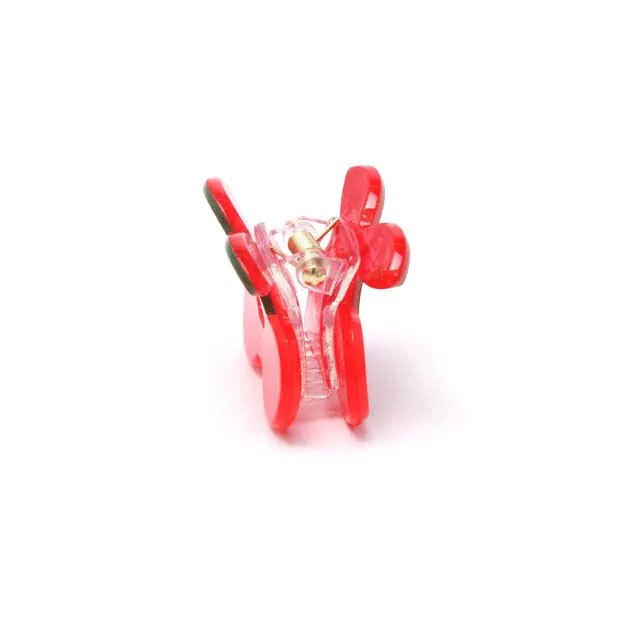 Molly And Rose  Card Of 2 Fruit Shaped Mini Clamps 9741