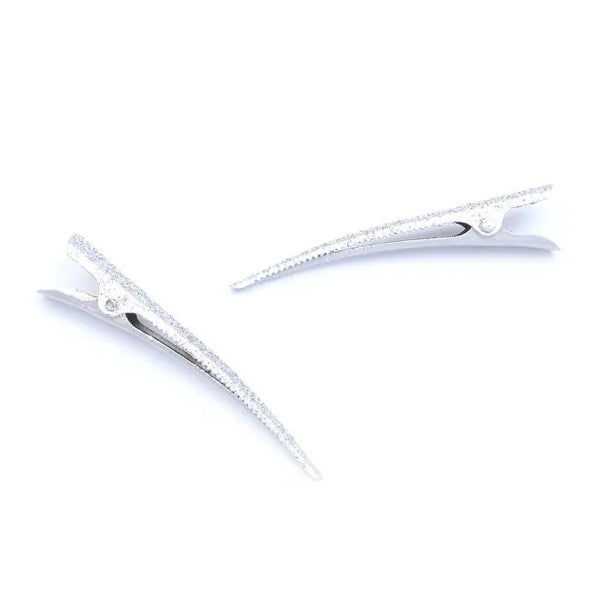 Molly And Rose  Card Of 2 Glitter Beak Assorted Clips 7835