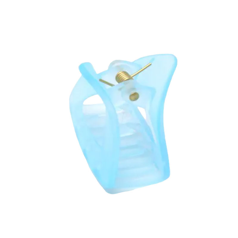 Molly And Rose  Card Of 2 Translucent Pastel Clamps