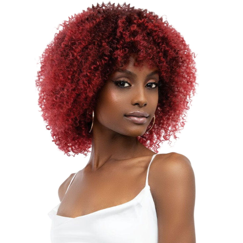 Janet Collection Natural Curly Natural Afro Leon Syn Wig