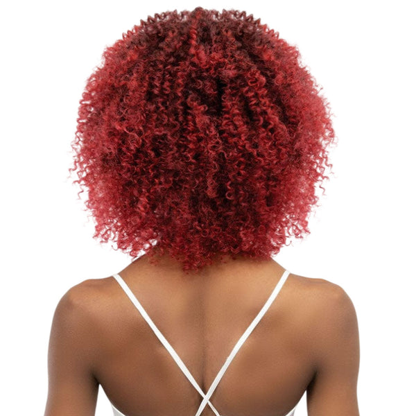 Janet Collection Natural Curly Natural Afro Leon Syn Wig