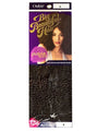 Outre Big Beautiful Hair 4C Coily Wvg