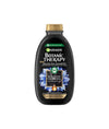 Garnier Ultimate Blends Charcoal Balancing Shampoo