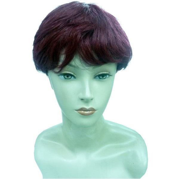 Hair Xpressions  Superior Collection Syn Wig DR 1