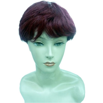 Hair Xpressions  Superior Collection Syn Wig DR 1